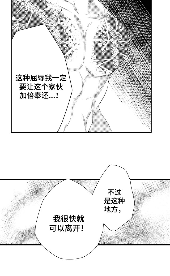 第3章：决心