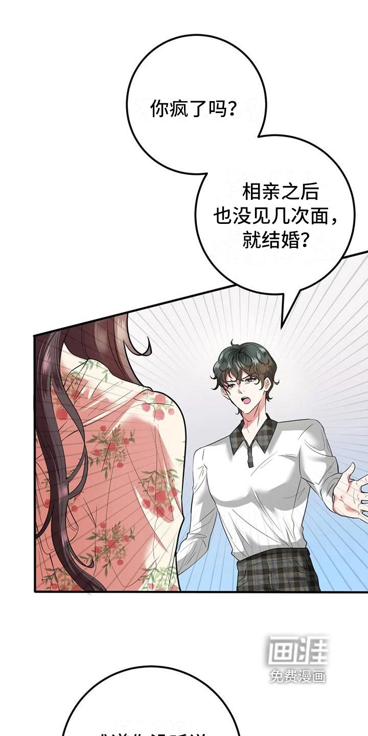 第12章：劝说