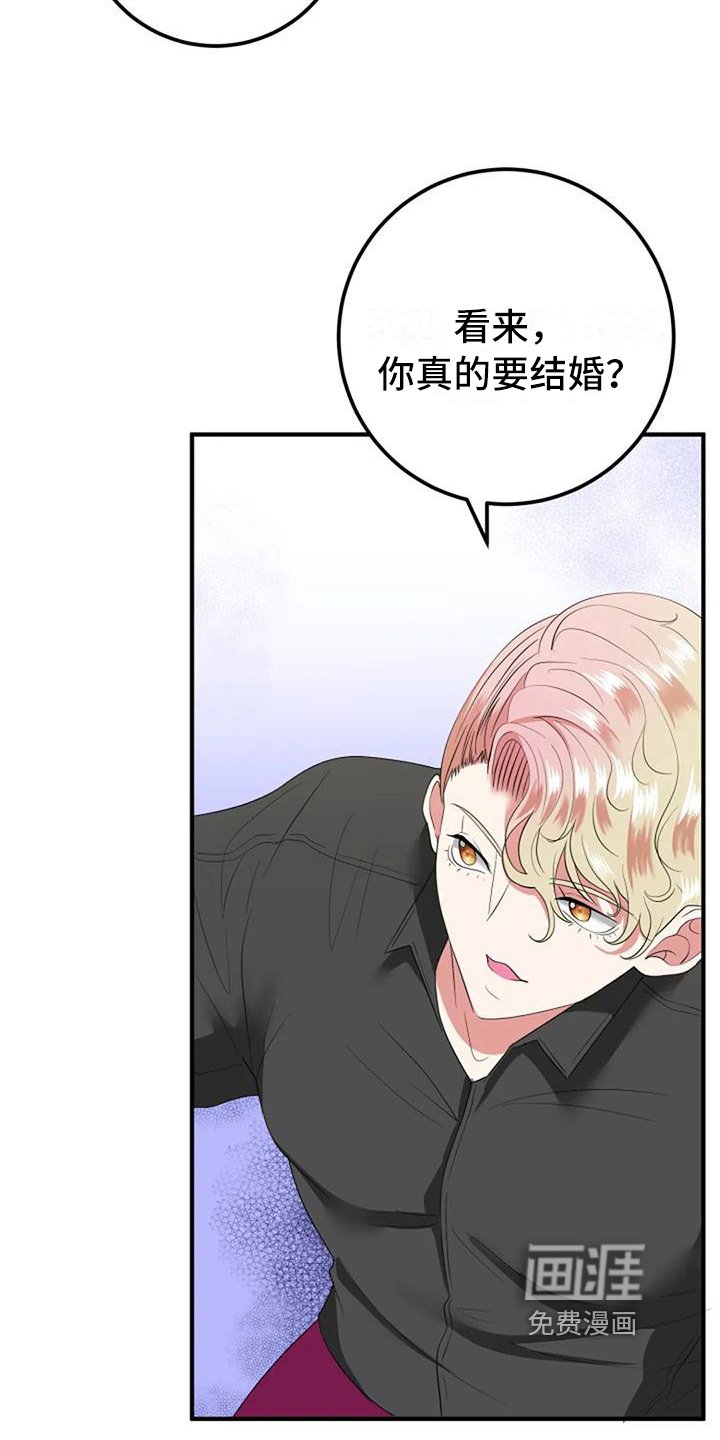 第14章：朋友
