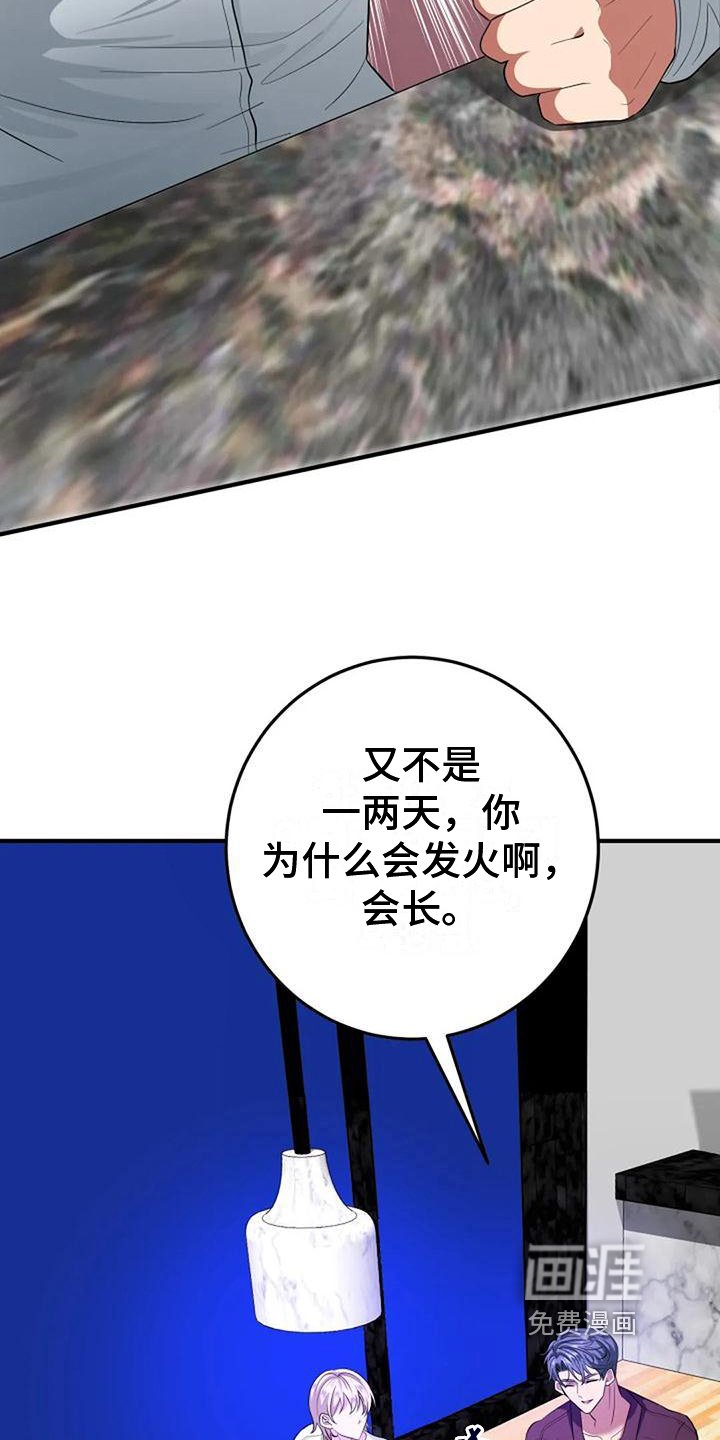 第6章：决定