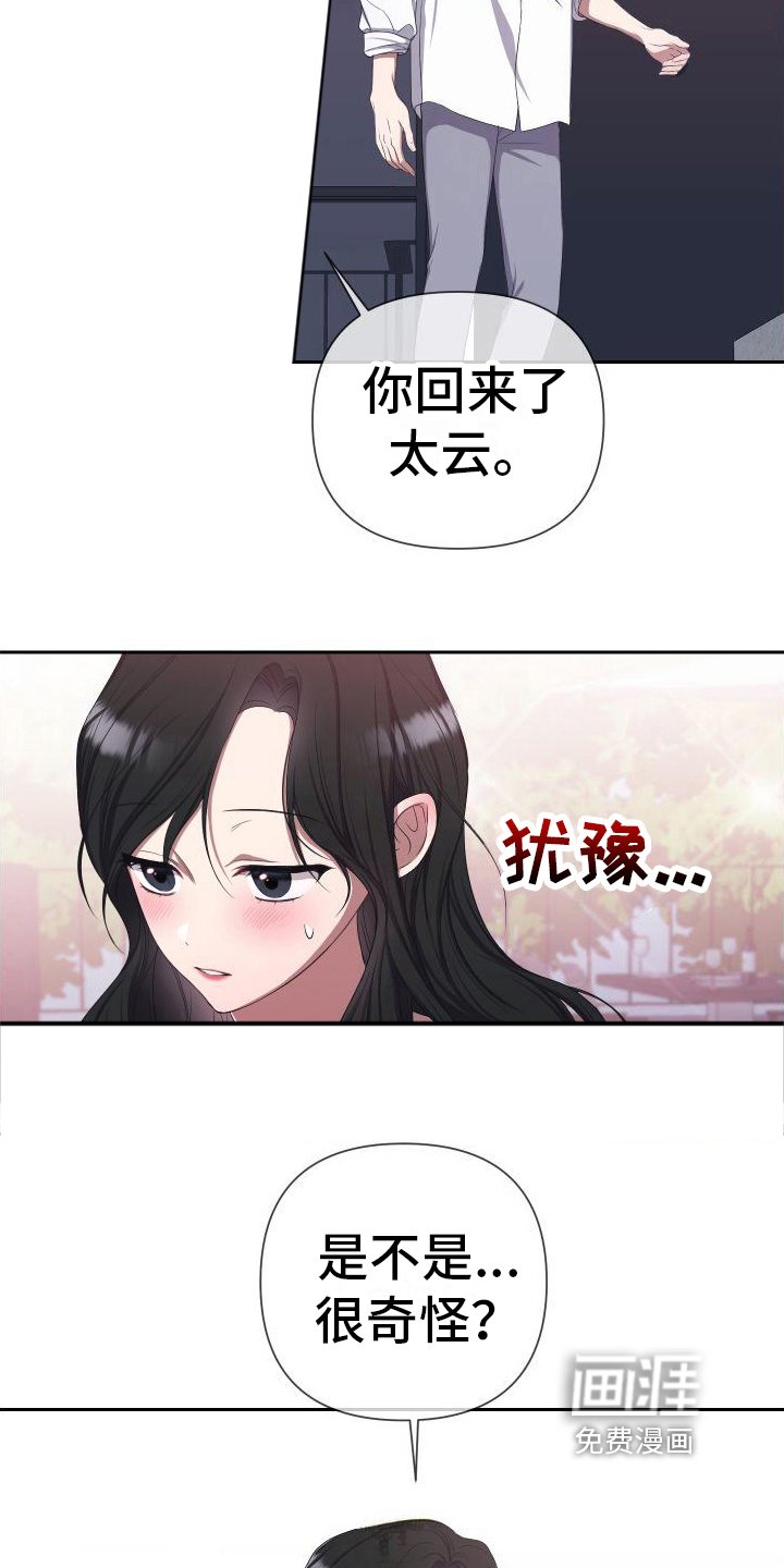 第14章：理解