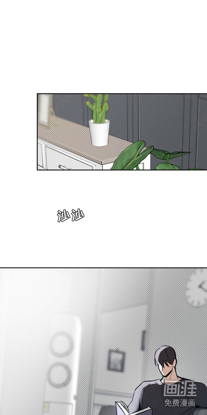第11章：以眼还眼：感情的重量