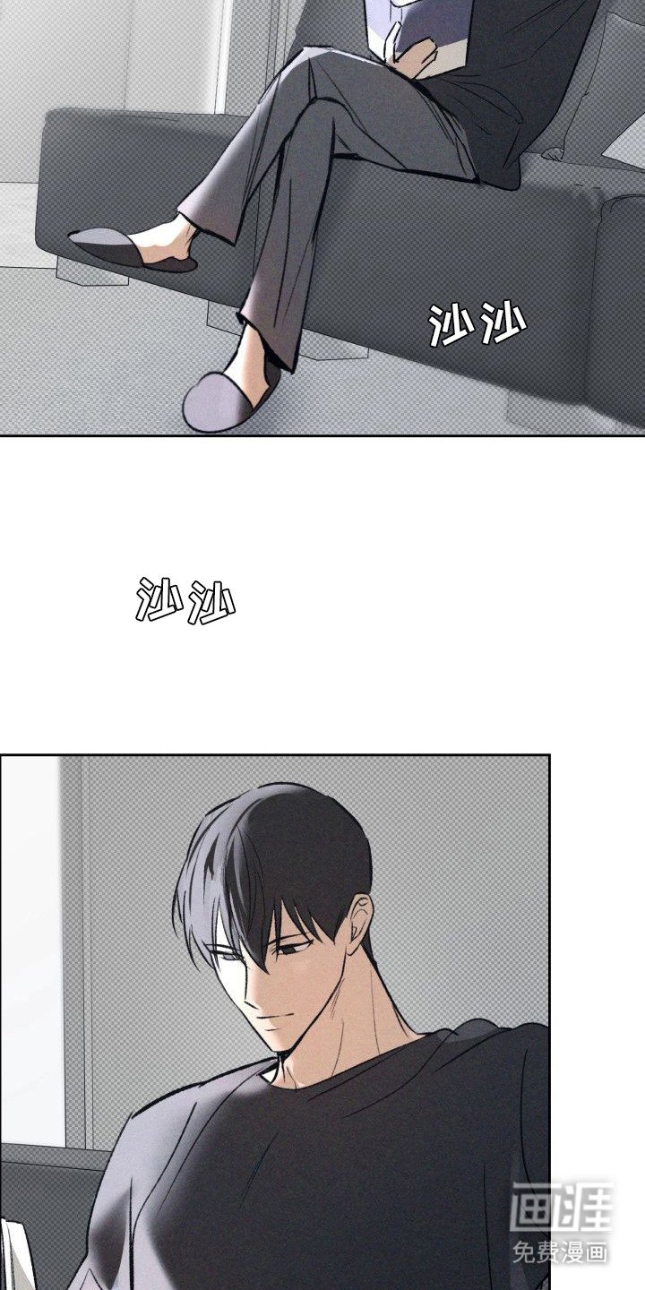 第11章：以眼还眼：感情的重量