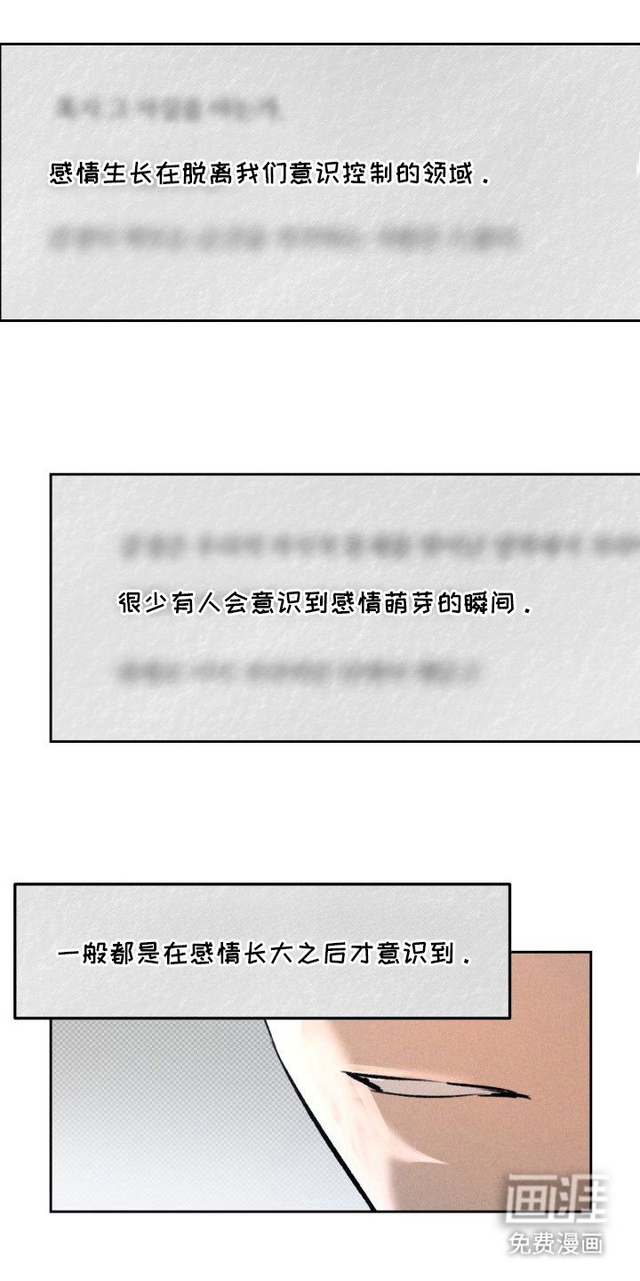 第11章：以眼还眼：感情的重量