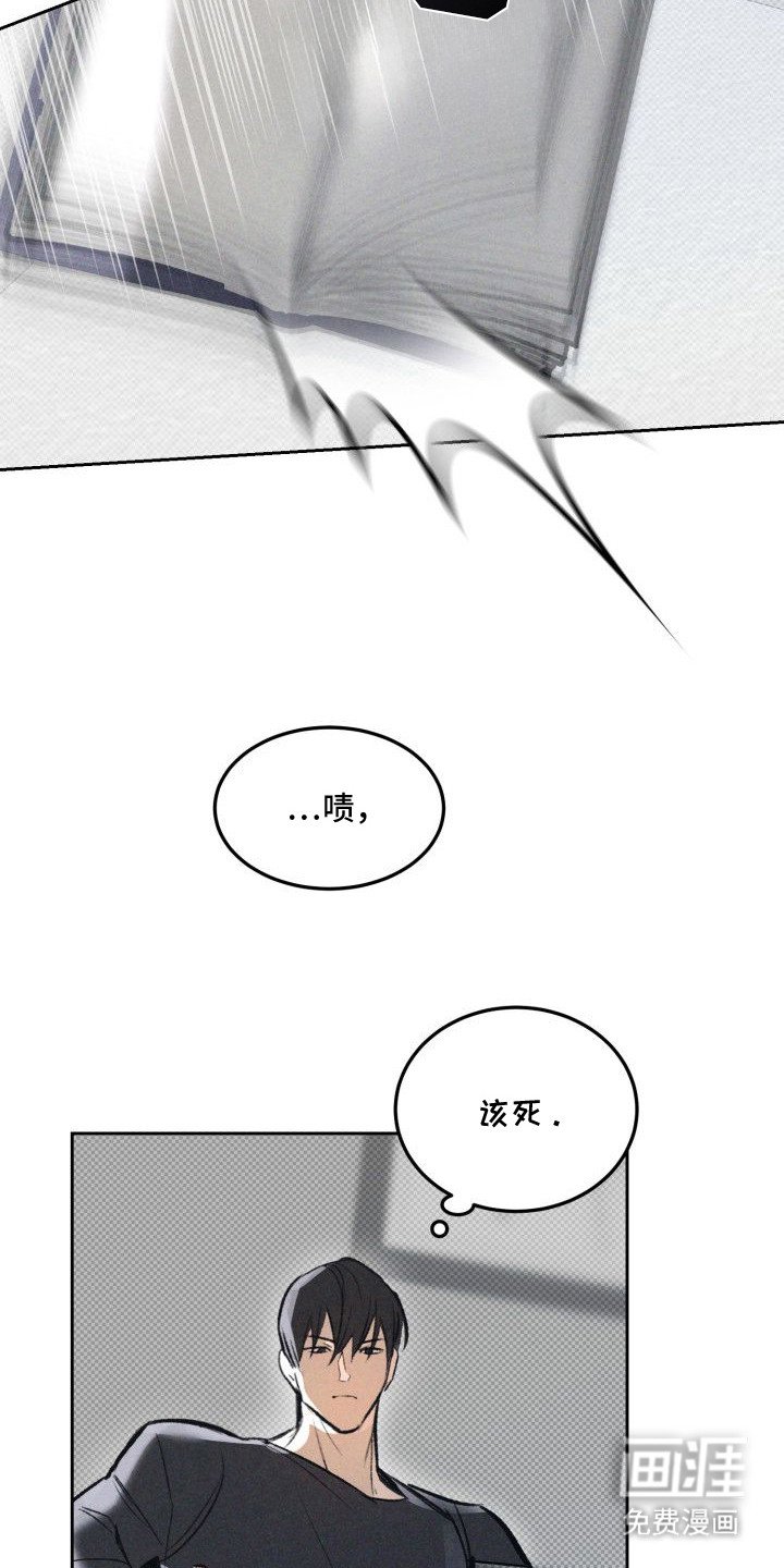 第11章：以眼还眼：感情的重量