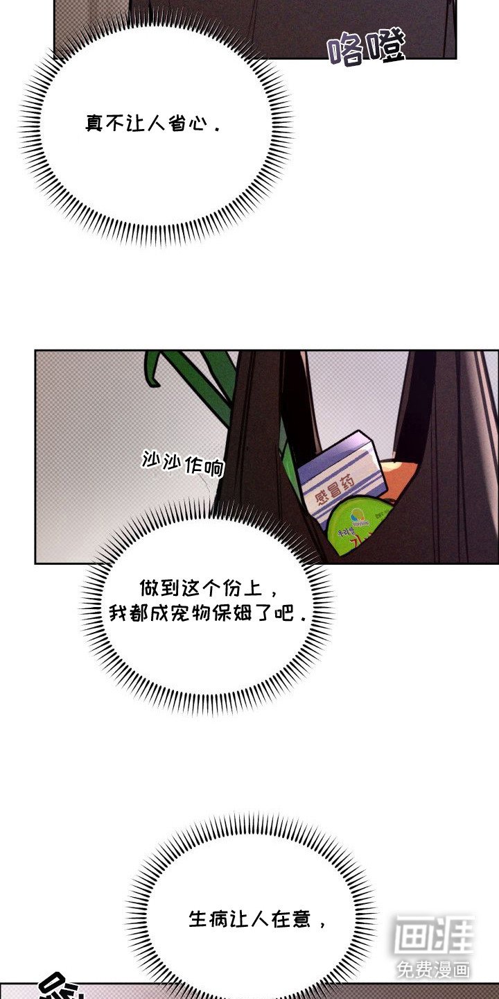 第12章：以眼还眼：不省心