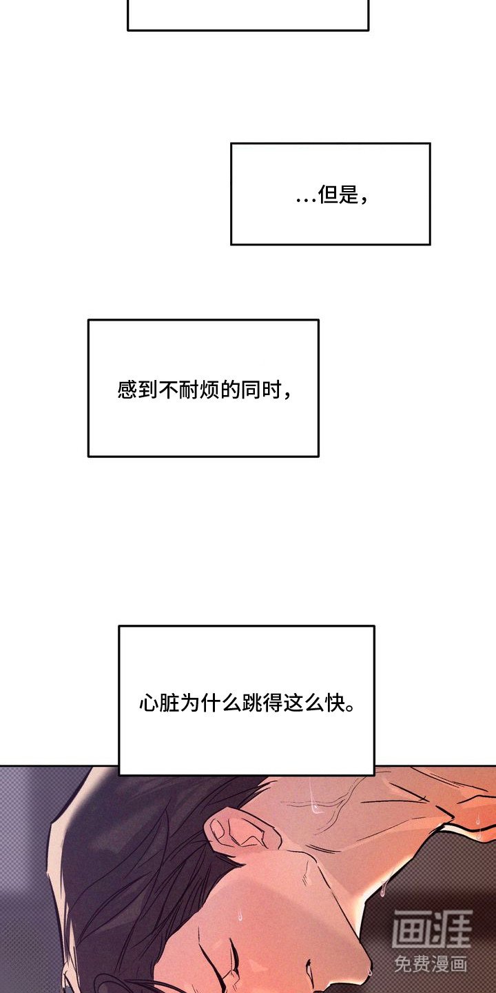 第3章：以眼还眼：真实的一面