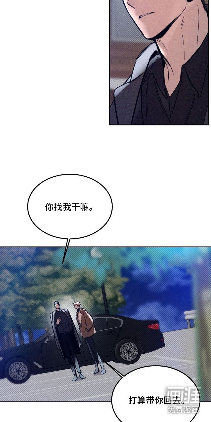 第8章：以眼还眼：脑回路