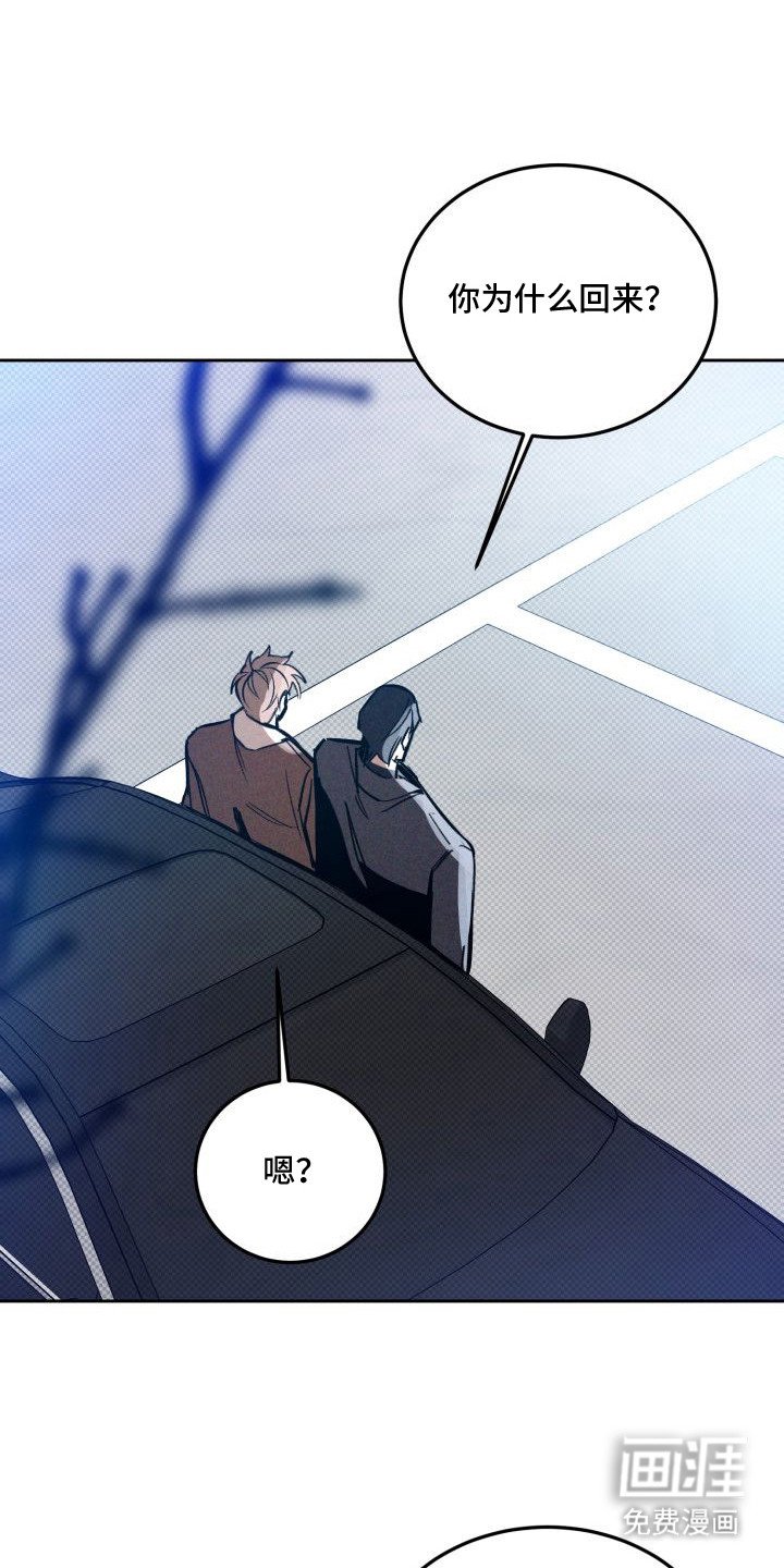 第8章：以眼还眼：脑回路