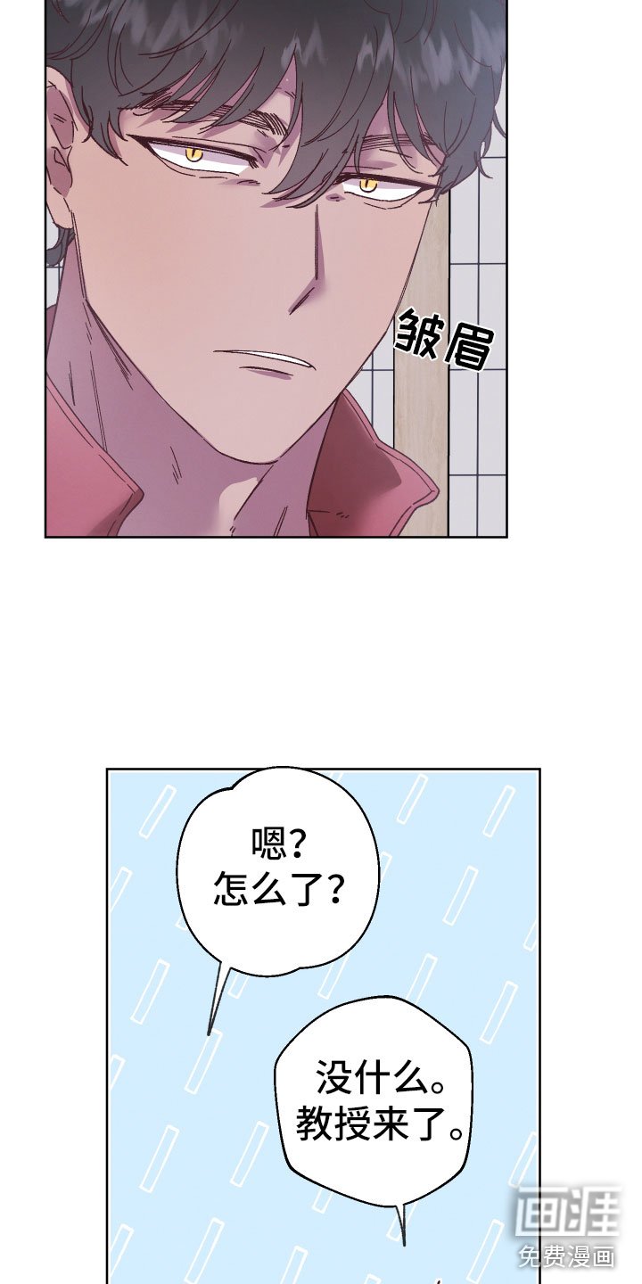 第11章：异样的感情
