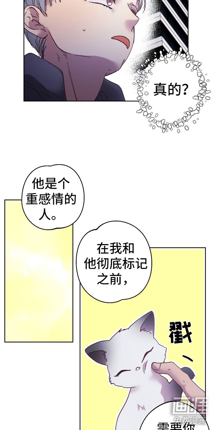 第14章：什么关系