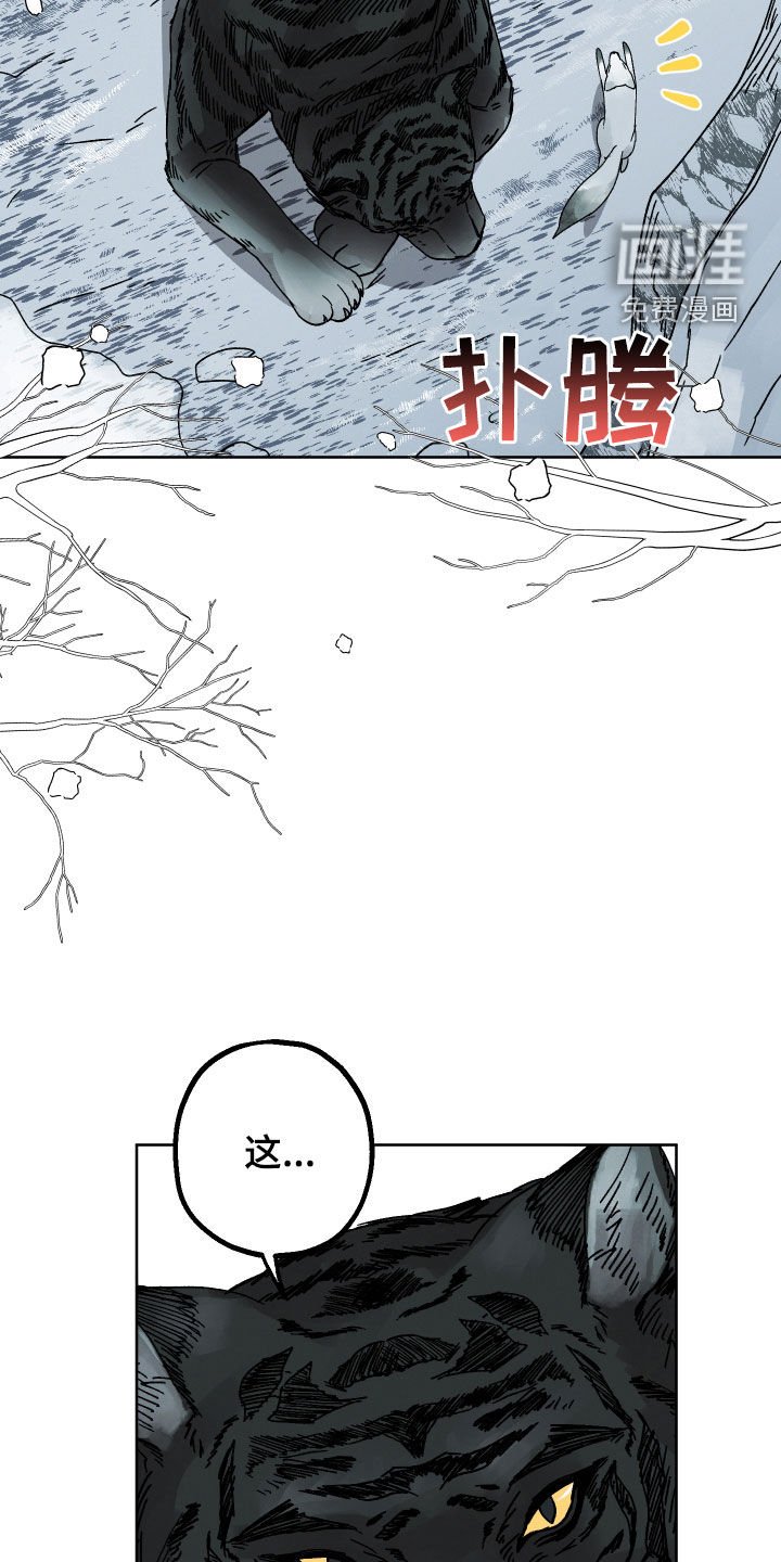 第17章：命运自己找来