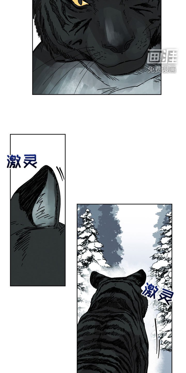 第17章：命运自己找来
