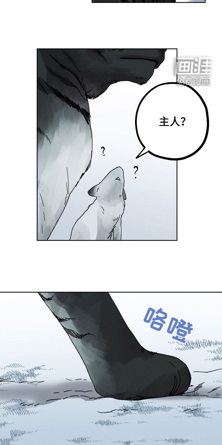 第17章：命运自己找来