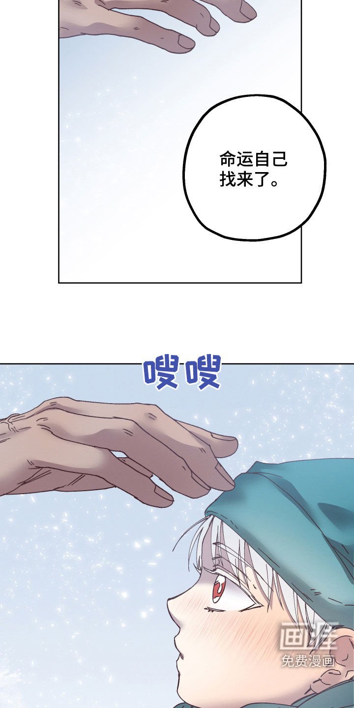 第17章：命运自己找来