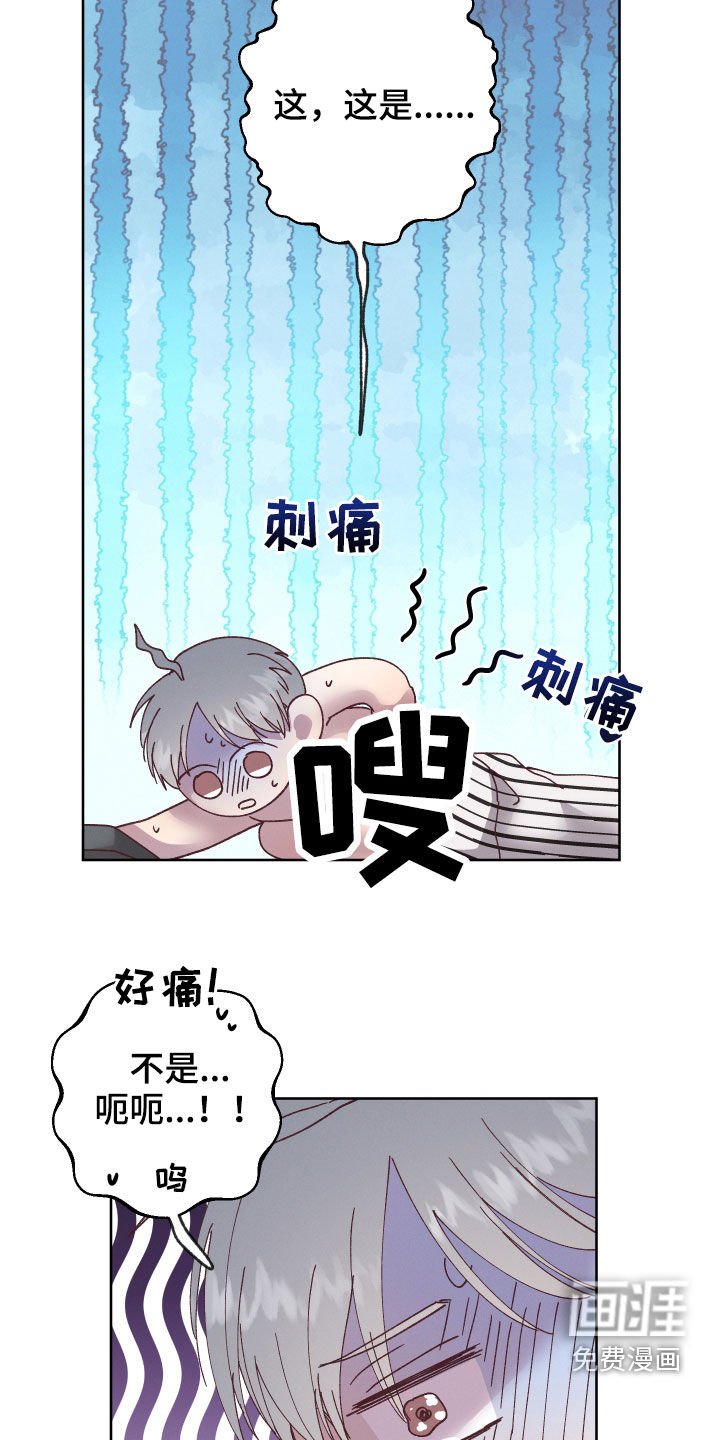 第17章：命运自己找来