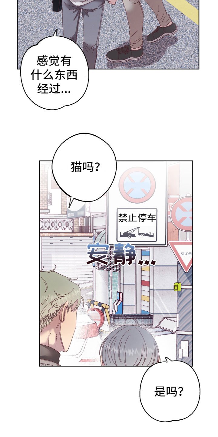 第2章：奇怪黑影