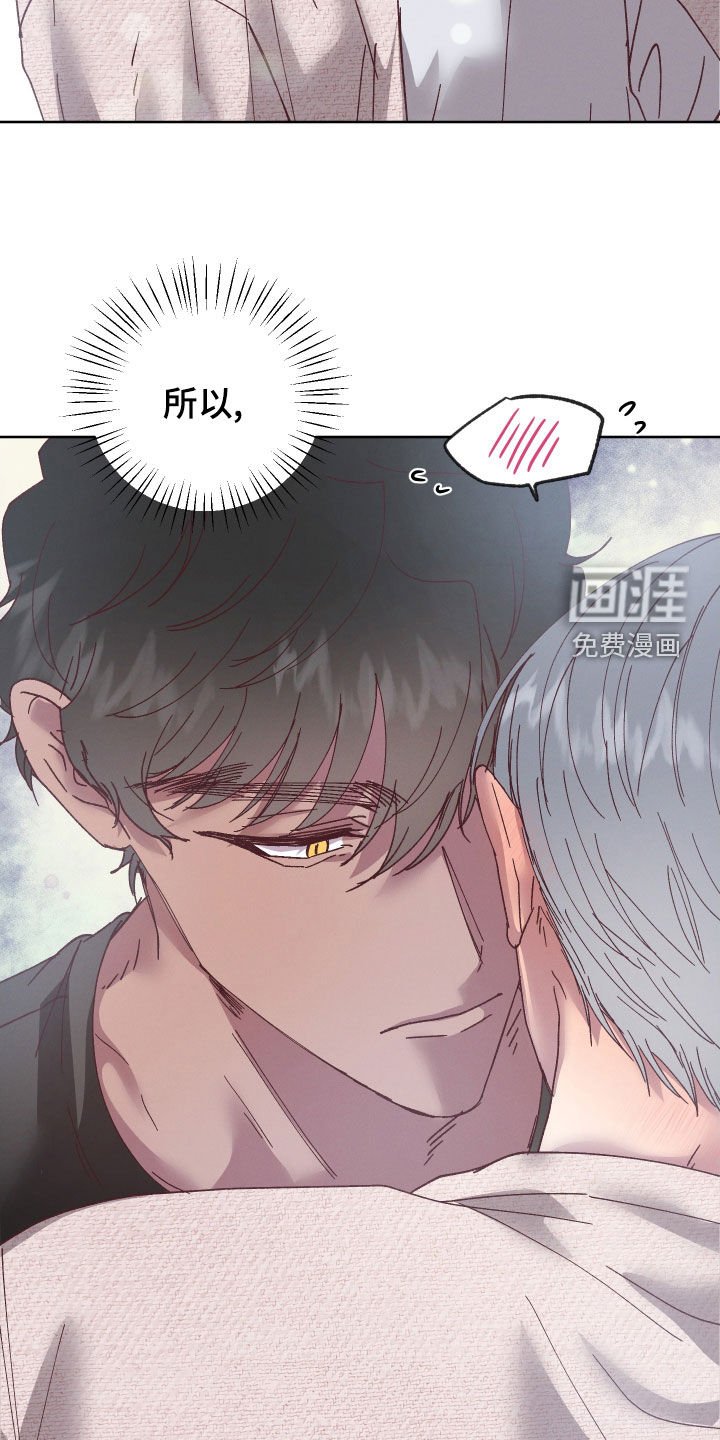 第20章：我保护你