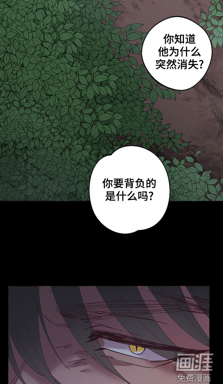 第23章：条件