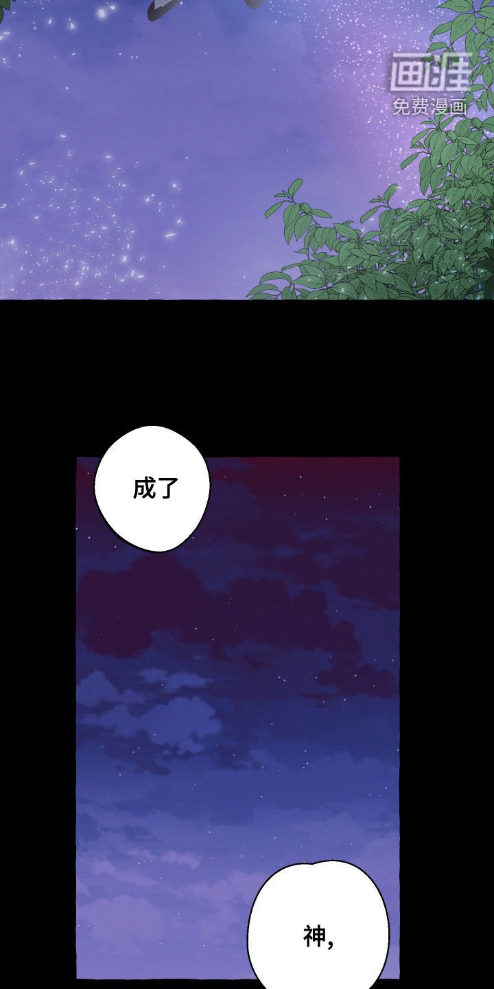 第23章：条件