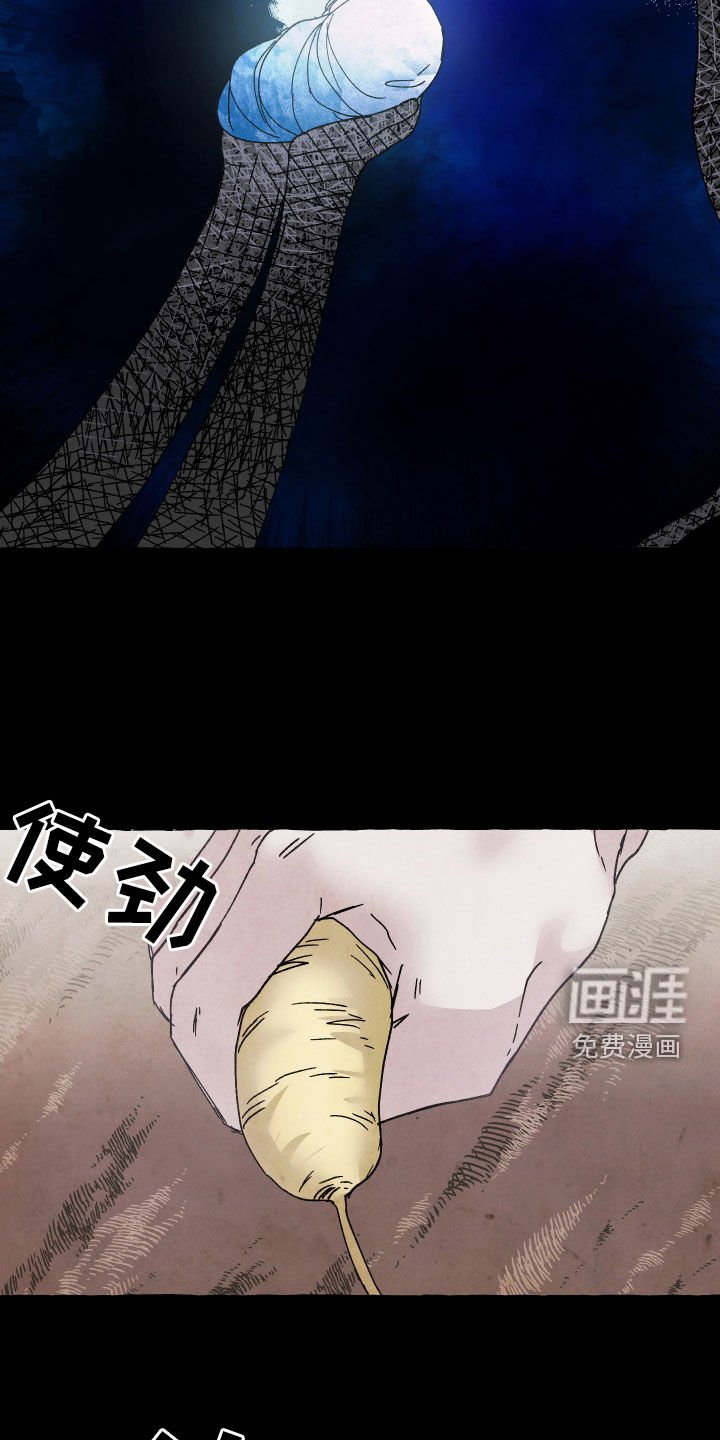 第24章：资格