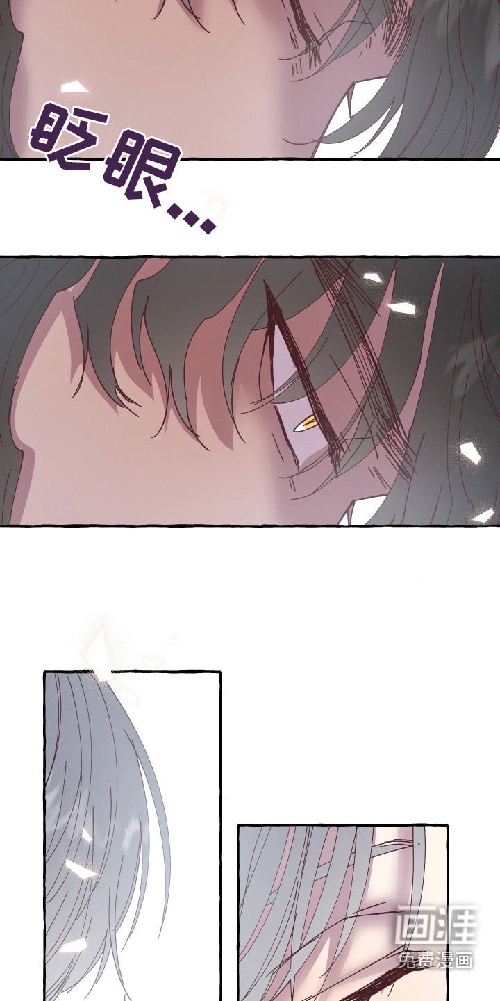 第24章：资格