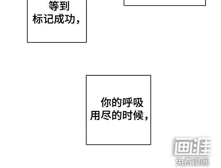 第25章：标记不了