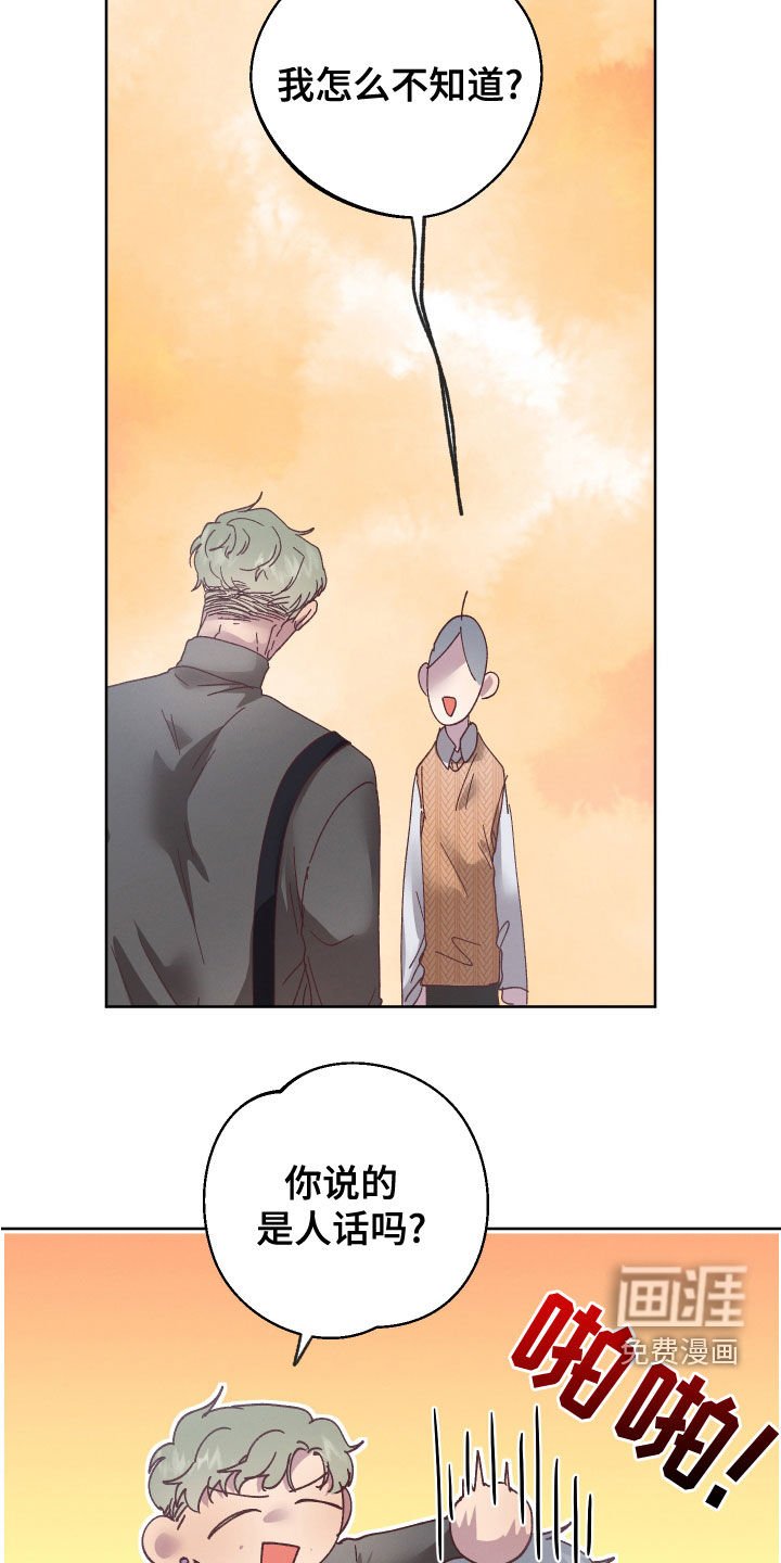第26章：监护人