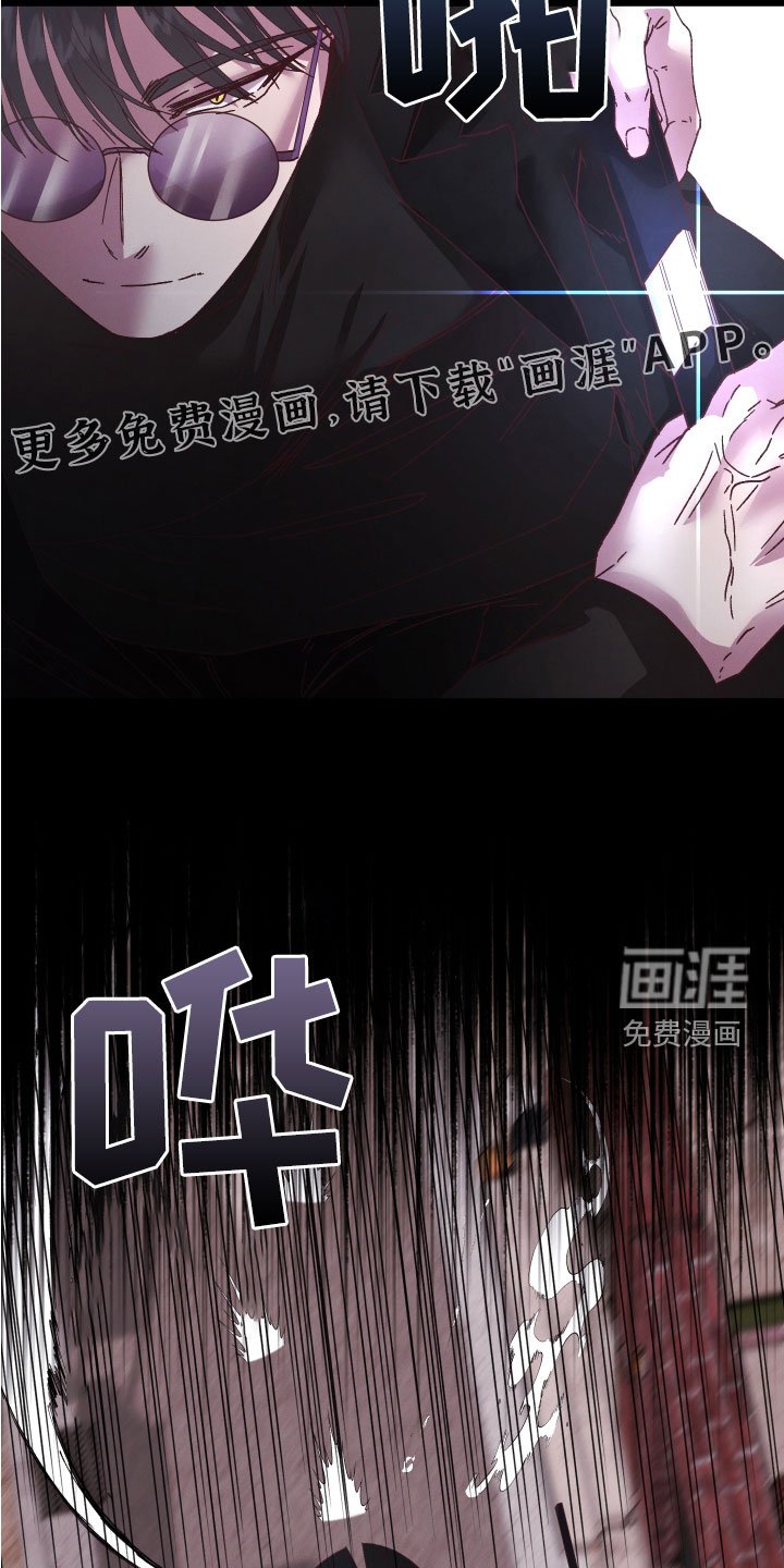 第29章：禽兽
