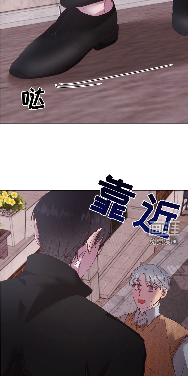 第29章：禽兽