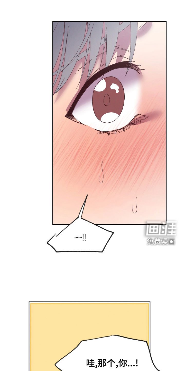 第29章：禽兽