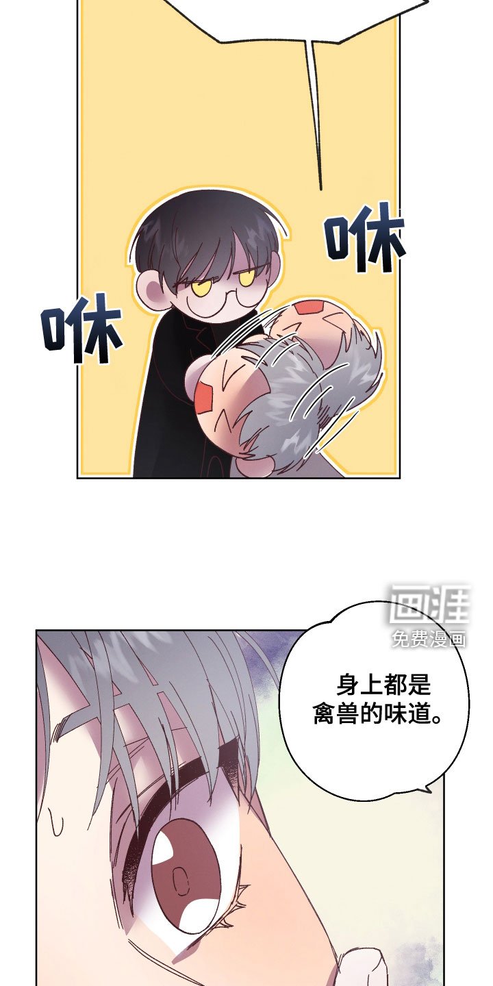 第29章：禽兽