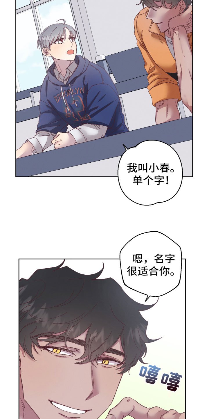第3章：朋友和邻居