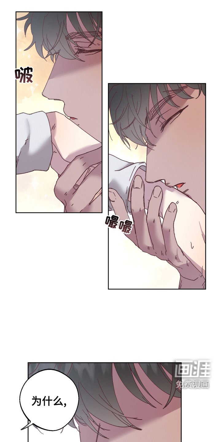 第34章：命运
