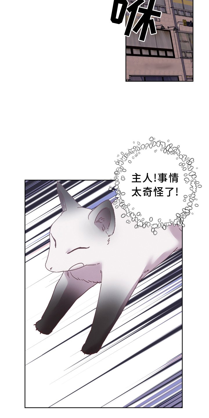 第40章：错解