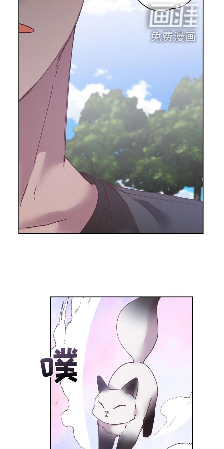 第41章：误会