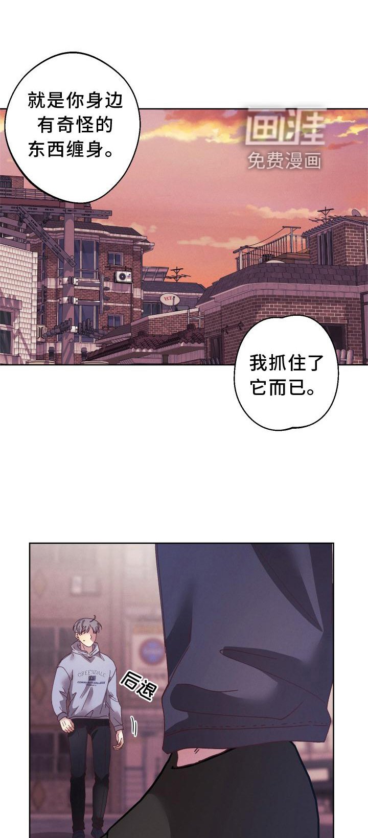 第43章：袭击