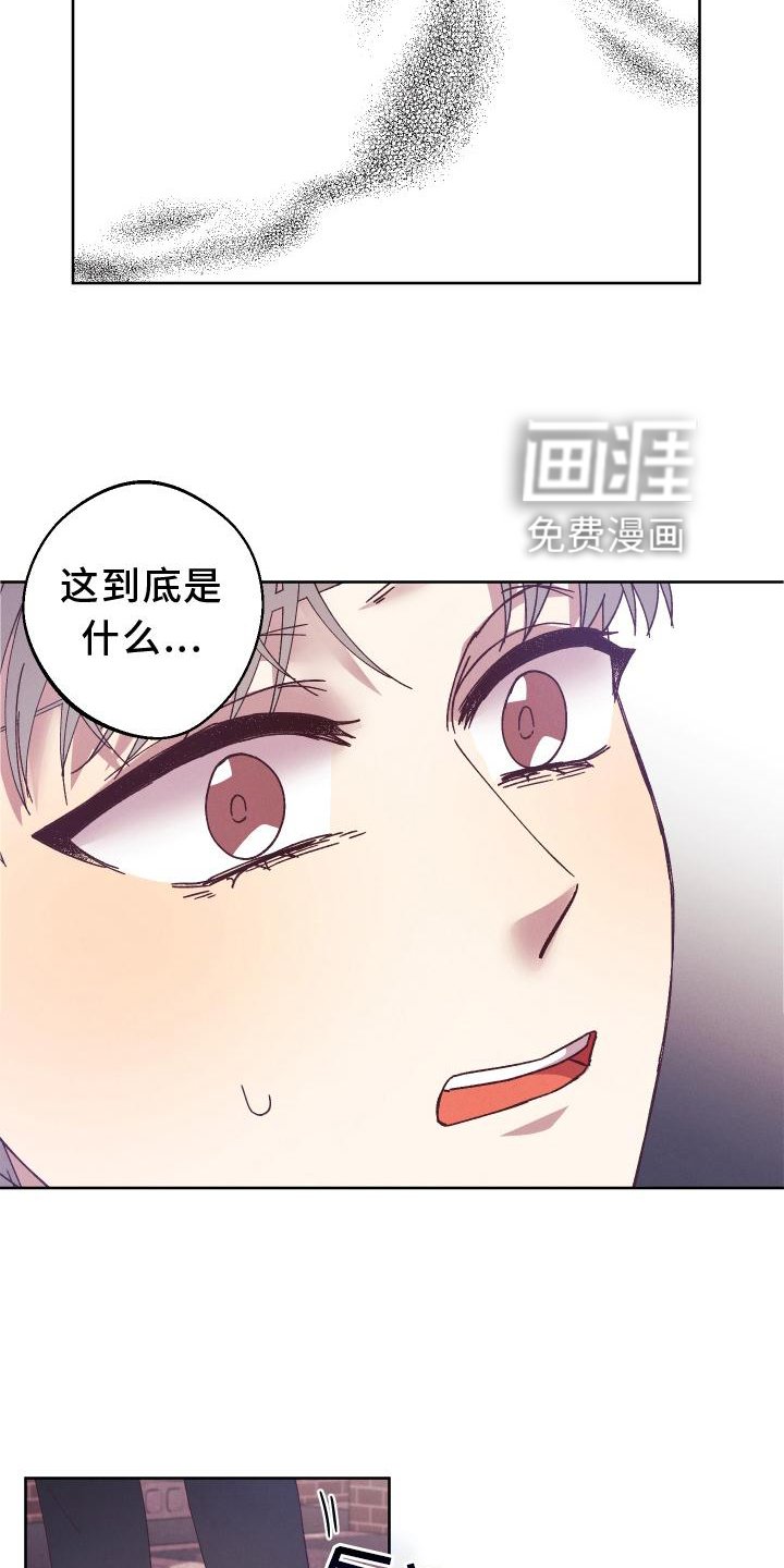 第43章：袭击