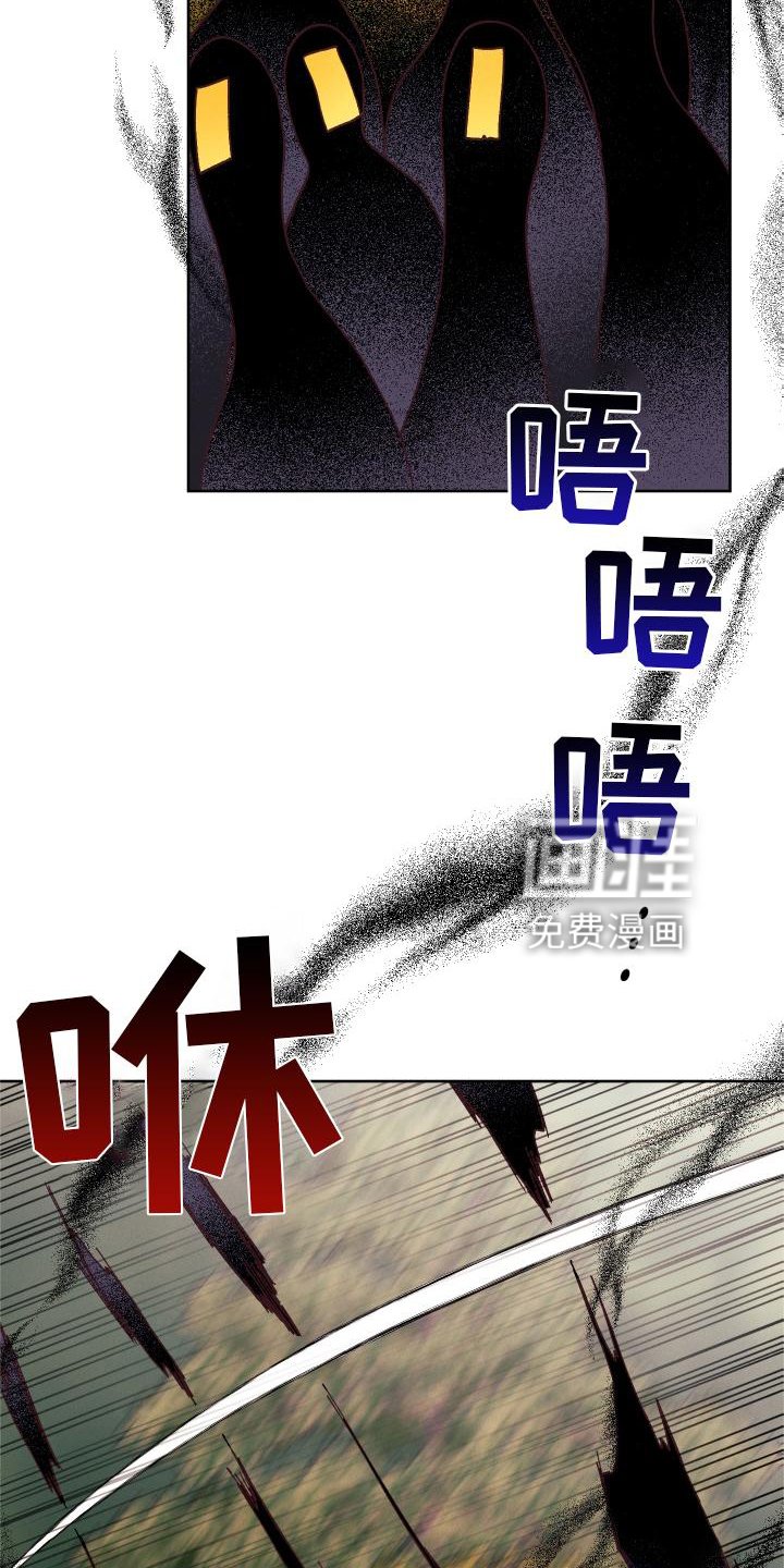 第43章：袭击