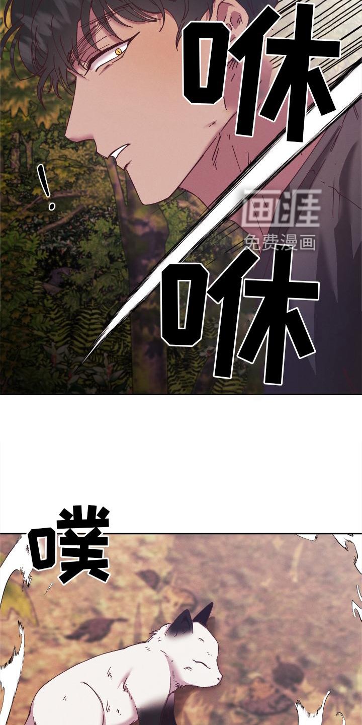 第44章：干扰