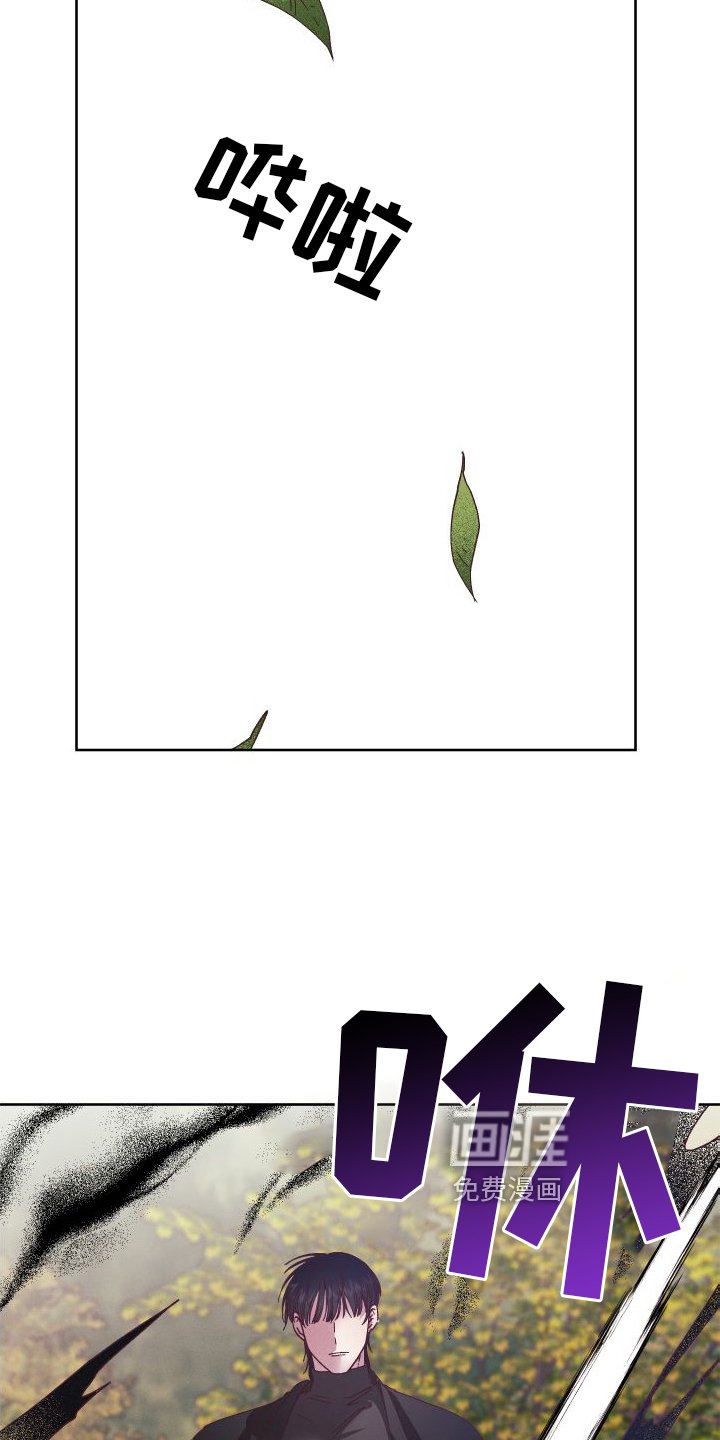第45章：支援