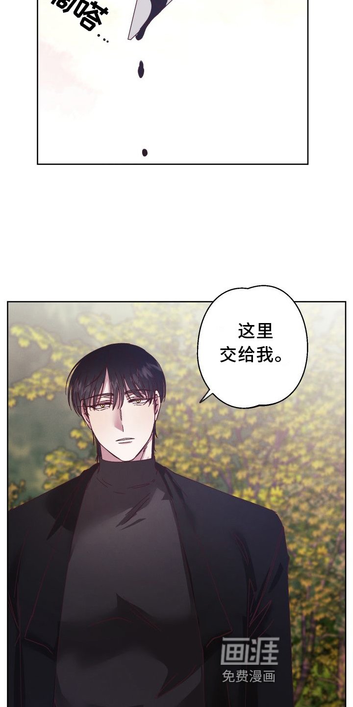 第45章：支援