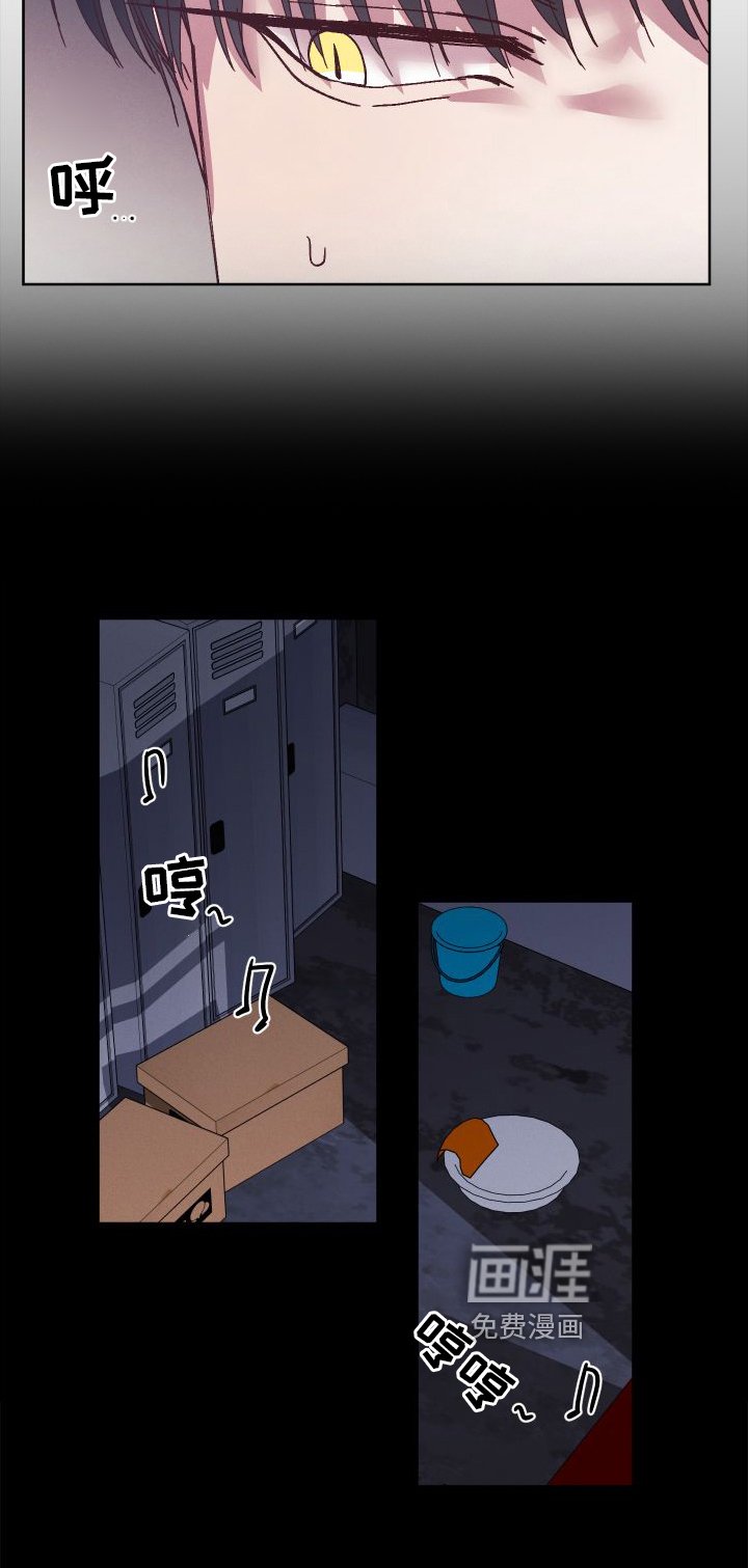 第45章：支援