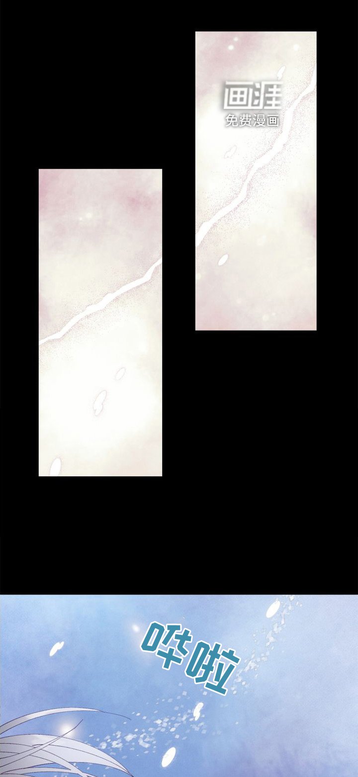 第46章：保护