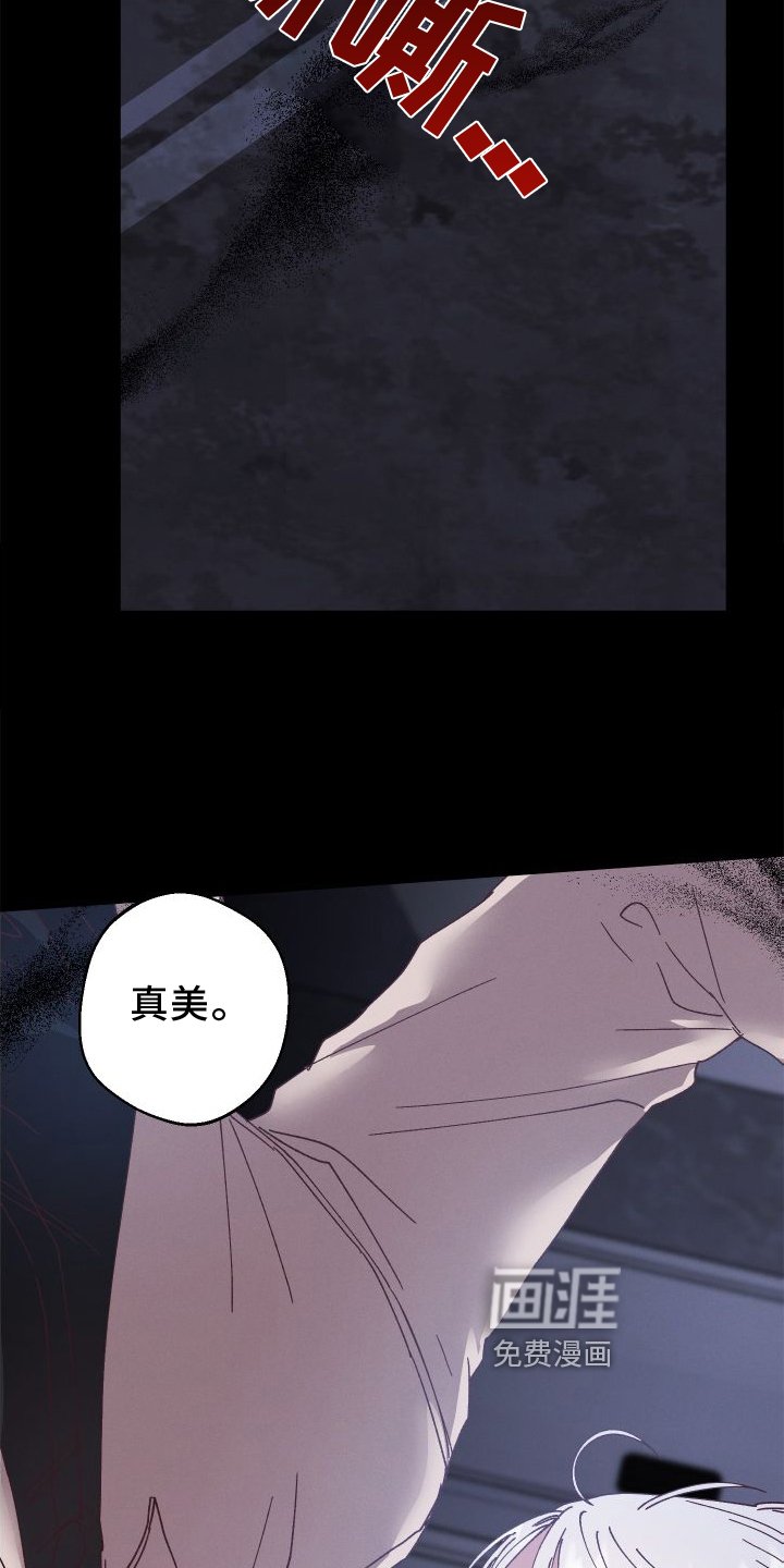 第46章：保护