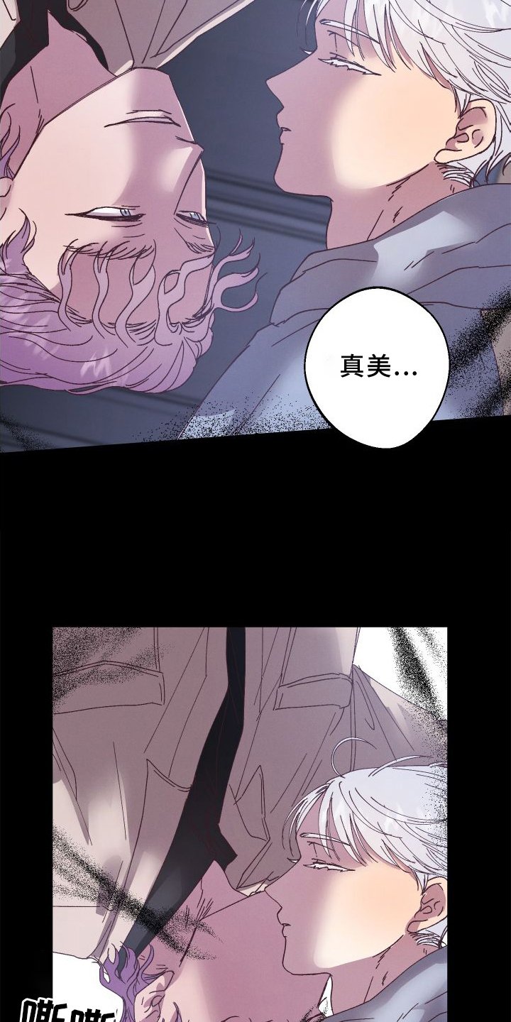 第46章：保护
