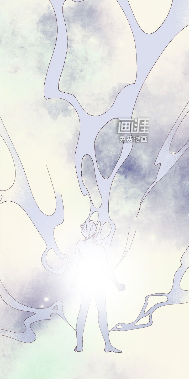 第46章：保护