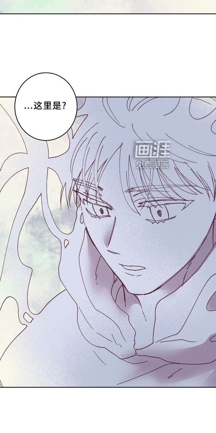 第46章：保护