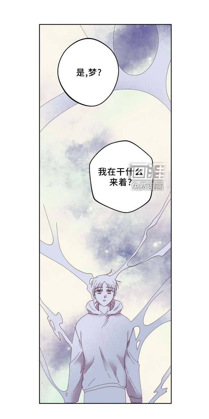 第46章：保护