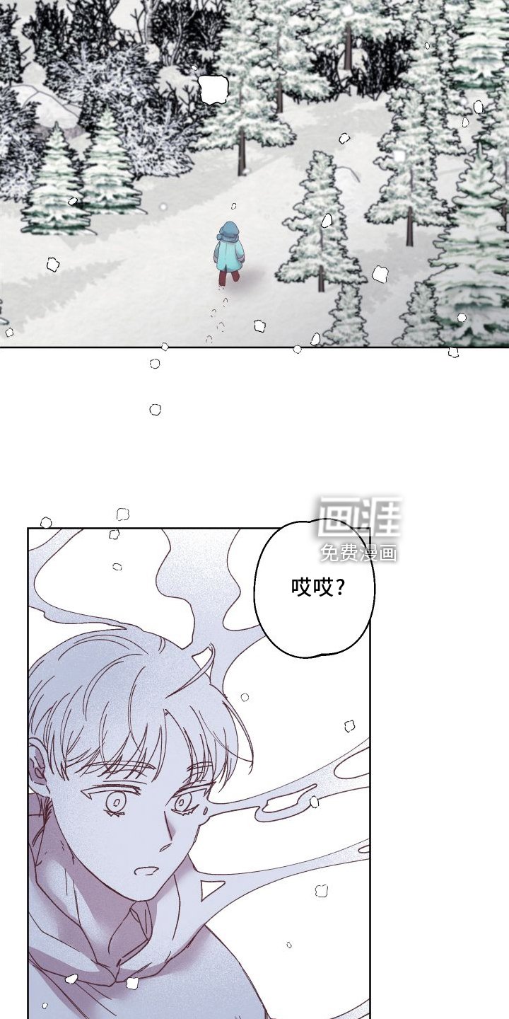 第46章：保护